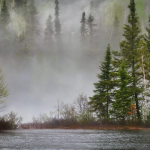Carbon Economy Explained: How Farms…