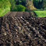 Carbon-Rich Soil