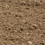Soil Health